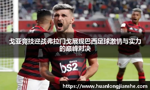戈亚竞技迎战弗拉门戈展现巴西足球激情与实力的巅峰对决